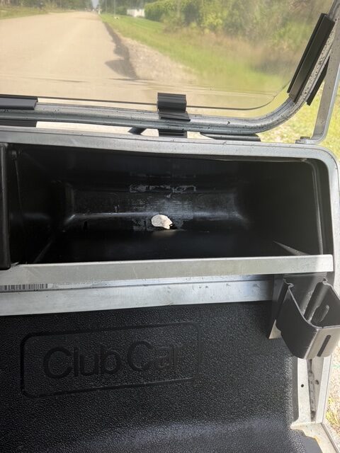 2010 Club Car Carryall 2 - Image 12